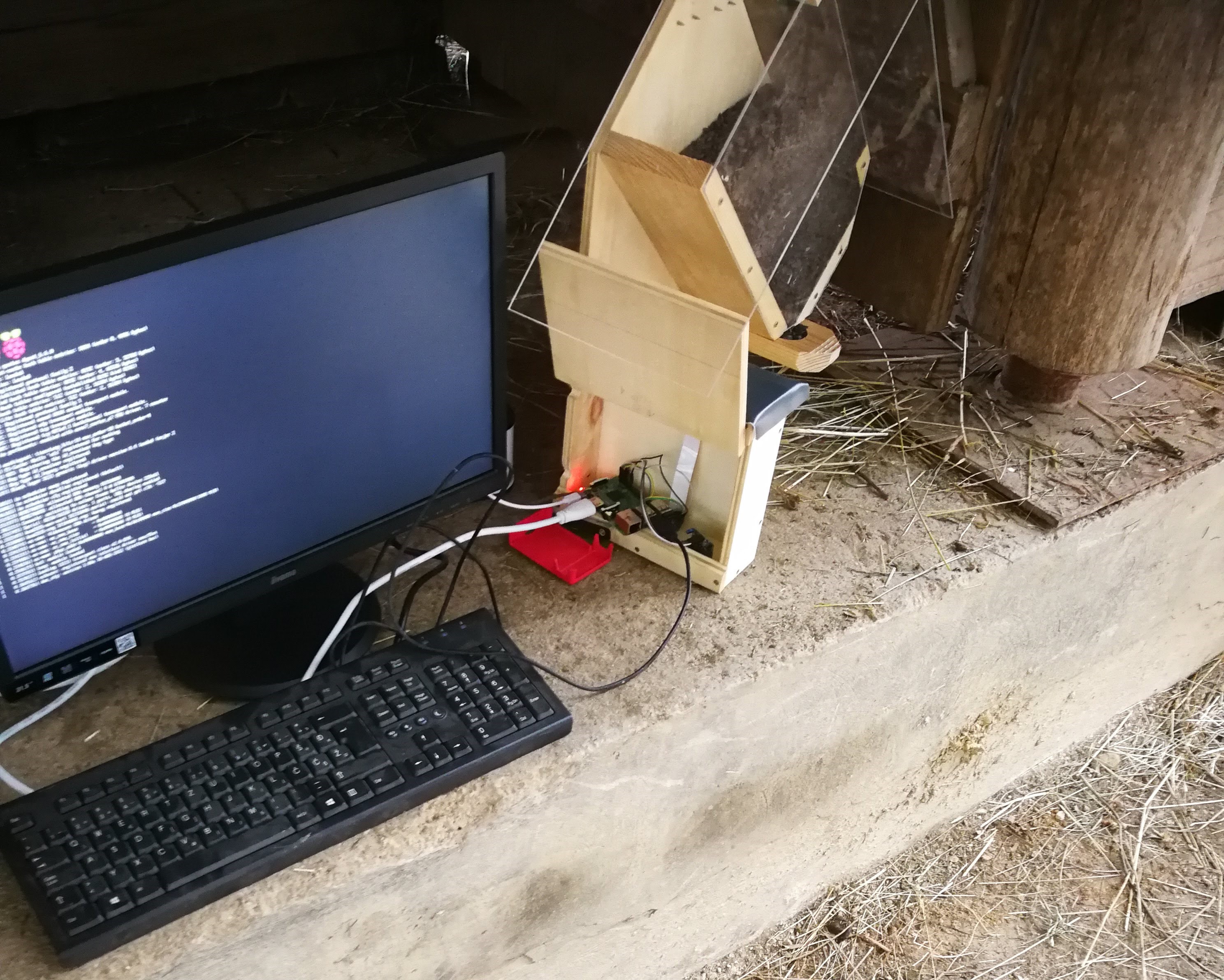 AI Bird Migration Tracking
